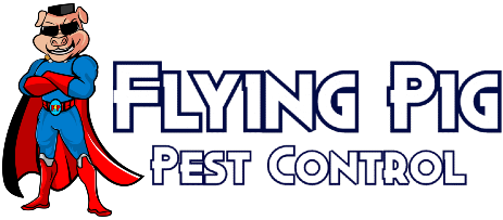 Flying Pig Pest Control